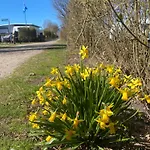 Kemp Camping Inselauszeit Am Meer