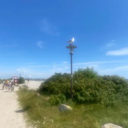 Kemping Wohnwagen Auf Dem Wulfenerhals Ca 150m Bis Zum Fehmarn