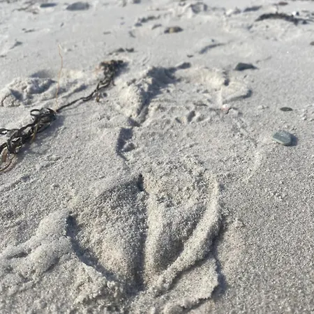 Wohnwagen Auf Dem Wulfenerhals Ca 150m Bis Zum Kemping