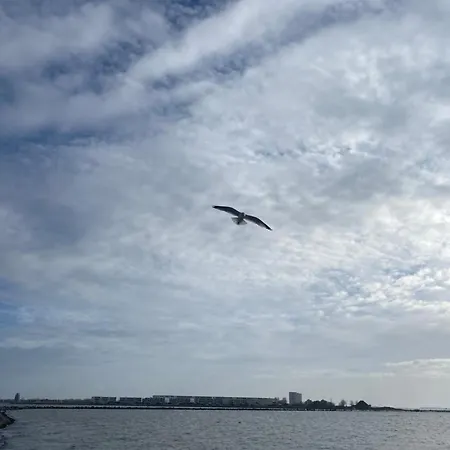Wohnwagen Auf Dem Wulfenerhals Ca 150m Bis Zum Kemping Fehmarn