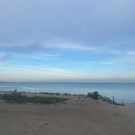 Kemp Strandnaher Privat Wohnwagen Auf Fehmarn *