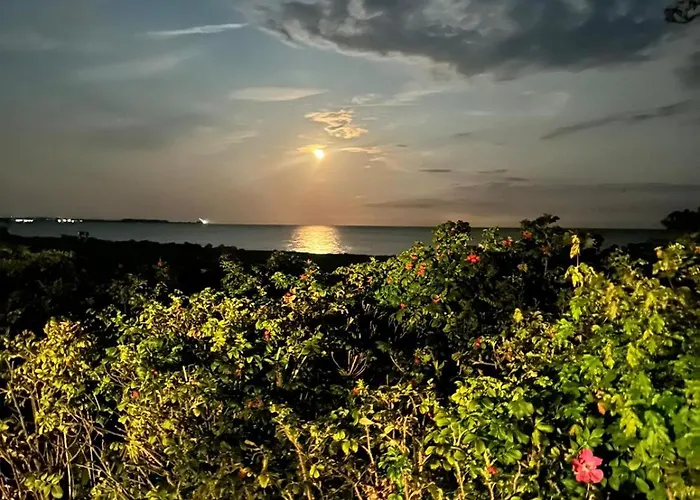 Campingplatz Wohnwagen Auf Dem Wulfenerhals Ca 150m Bis Zum